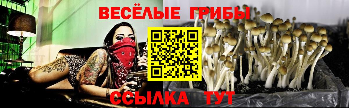 Псилоцибиновые грибы ЛСД Сухой Лог