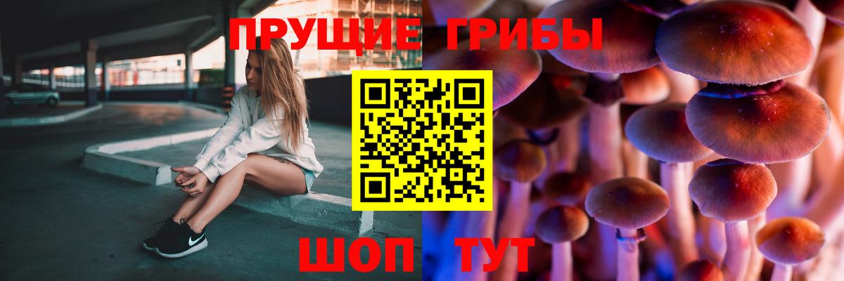 Галлюциногенные грибы Psilocybine cubensis  Псилоцибиновые грибы прущие грибы  Вход с VPN  Сухой Лог 